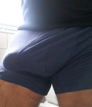 Penis