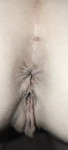 My ass and pussy