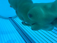 Hot Wife’s BBC Addiction!