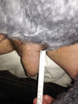 Cuckold Germany Frankfurt refugees bulls are wem come