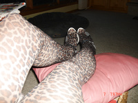 Slut wife Nancy
