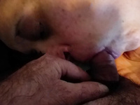 esposa gordita y muiapetesible desnuda en la cama