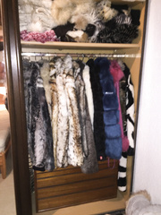 Cuckold Germany Frankfurt refugees bulls are wem come