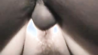 BBC Seeding White Wife.