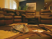 Husband watches hotwife go black for the first time