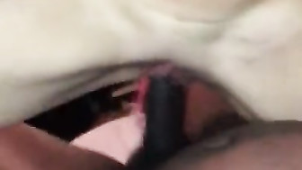 Cream Filled by black cock