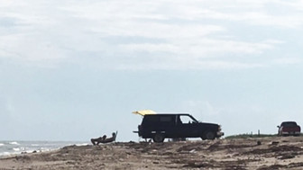 Picking Up A Stranger On The Beach