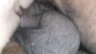 Backshots after Masturbation