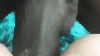 Anal creampie for hot shared GF