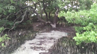 White couple outdoor threesome