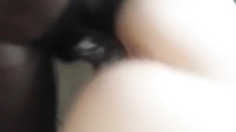 BBC fucking creamy white pussy