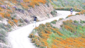 Fresh air, nice view hot MILF and hung black stud