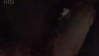 Cuckold white wife gets impregnated and creamed by her endowed black lover