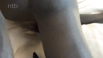 Cuckold white wife fucks big black cock while her husband watches and films