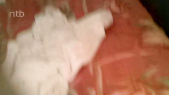 Cuckold white girl getting fucked by black bulls while boyfriend films