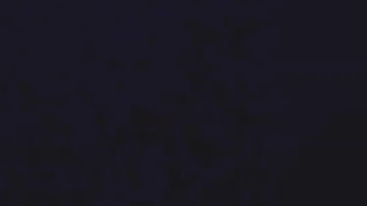 MIDWEST  SLUTTY BRAT