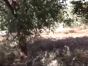 Fresh and clean air its hot day in summer