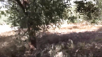 Fresh and clean air its hot day in summer