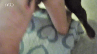 Cuckold white wife enjoys that huge black cock before pleasing her hubby