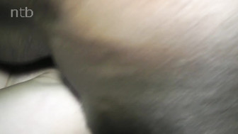 Cuckold white wife gets that thick black cock bareback in her tight asshole