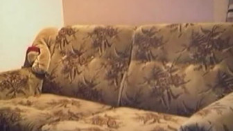 Amateur interracial hookup.