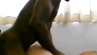 She likes nigga dick and this big black guy pounds her tight pussy good