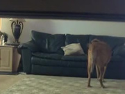 Cheating wife, caught on hidden cam.