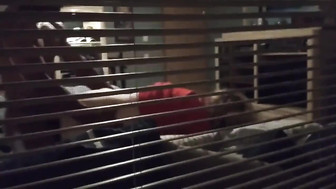 Bareback, creampie, interracia,l slutwife, Cuckold