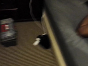 FUCKS BBC lk a good white slut - cheating on hubby @work with Black 1st time