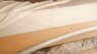 Husband jerks while bbc fuck his wife