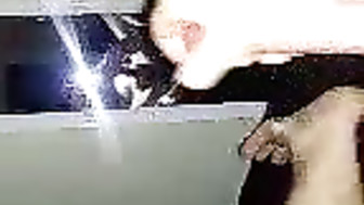 Bull cumming