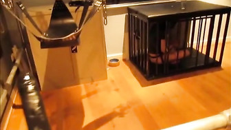 Cuck slave impaled on BBC dildo