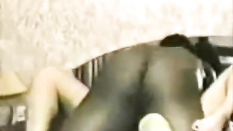 Wife wants bulls cum