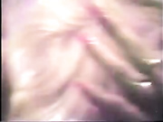 Old Video of Chicago Sue