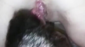 Cuck Hubby Cleans up Wifes Cum Filled Pussy