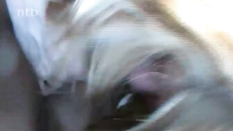 Cuckold white wife fucks bbc while driving back home with hubby