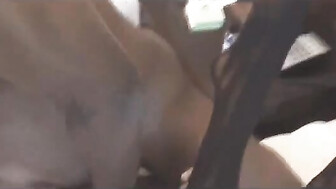 Black friend creampies hotwife before hubby fucks her for sloppy seconds