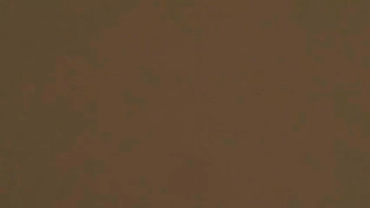 Cuckold Wife Loves hard black dick