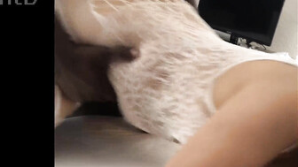 Cuckold wife in mask playing with black bulls