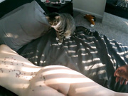 Pregnant White Girl Takes BBC