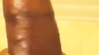 black cock blowjob