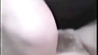 Vintage 80's----Lynn Carroll-More BBC