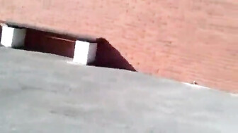 What would happened when hubby tied his wife to a tree