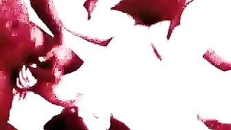 Wife Needs BBC--First Night with Her Black Friends