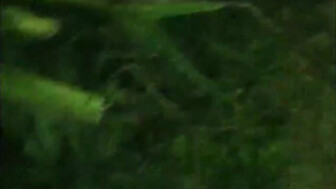 From the interracial dogging on the beach to the Hotel