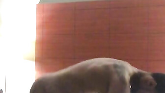 White gf gets mangled by big black cock