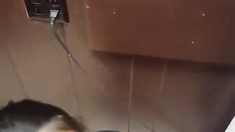 Asian Milf Worshiping BBC