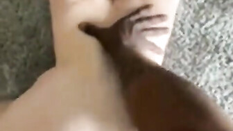 That ass was amazing to watch going up and down on that BBC