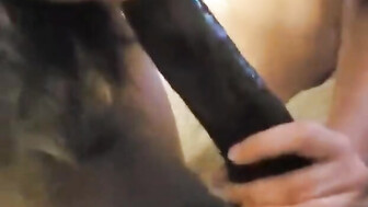 Horny slut swallows BBC then fucked