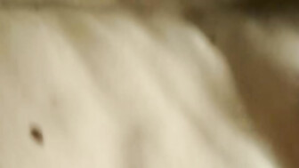 She sucked my dick and I fucked her slit